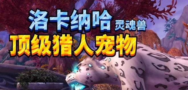 魔兽PvP全职业战术剖析：称霸战场的秘诀