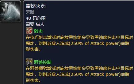11.0.7前职业改动：猎人爆发式加强与多职业调整