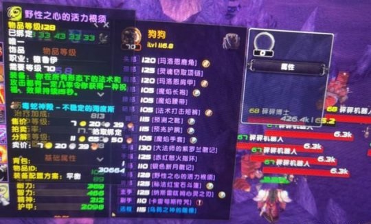 德鲁伊专属饰品野德用属于极品覆盖率极高 德鲁伊专属饰品野德用属于极品覆盖率极高